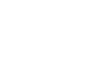 levy-logo-sm